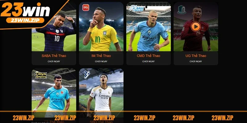 Tổng hợp các sản phẩm cá cược thể thao 23WIN 